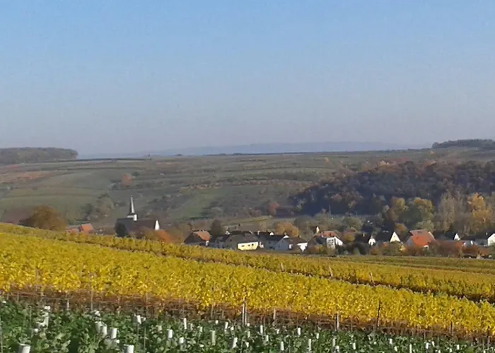 Schuler-petschler *