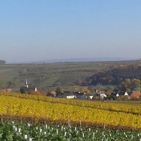 Schuler-petschler *
